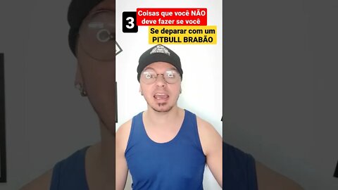 3 coisas que você não deve ser você se deparar com um PITBULL brabão