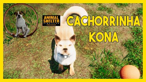 CONHECENDO A CACHORRINHA KONA MUITO FOFA - ANIMAL SHELTER SIMULATOR #AnimalShelter