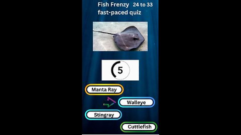 Fish Frenzy 24 to 33 A fast-paced quiz