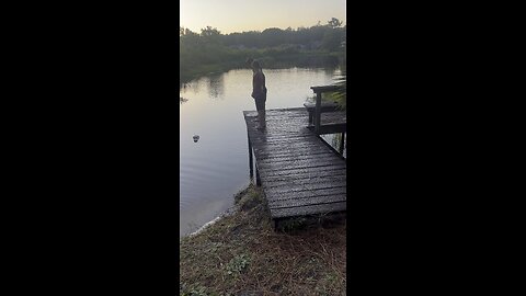 Kid attached by Gator!!!