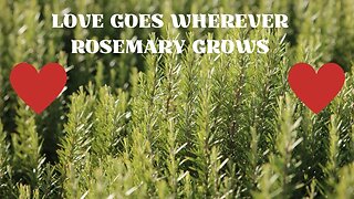 Love Goes Wherever Rosemary Grows