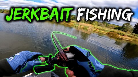 Jerkbait Fishing for Largemouth Bass - Kaercher Creek