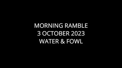 Morning Ramble - 20231003 - Water & Fowl