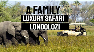 Luxury African Safari Vacation