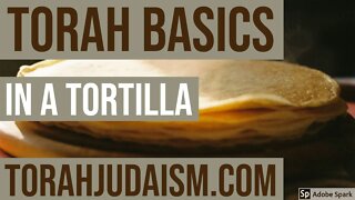 Torah Basics