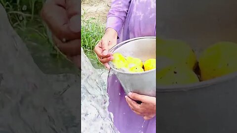 Fresh Mangoes in Fresh Tubewell Water #mango #eating #food #shortsfeed #subscribe #ytshorts