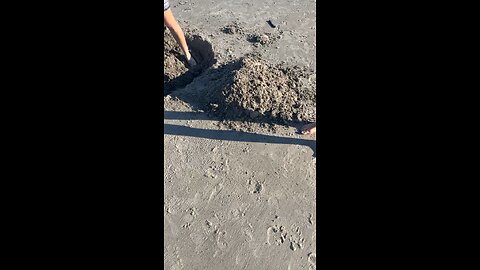 How to Use a Trench Shovel #trenchshovel #digging #beach