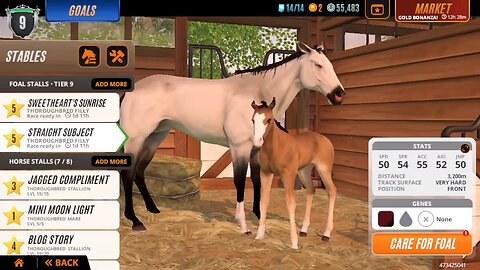 Rival stars horse racing