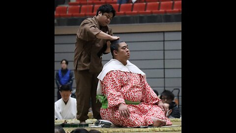 Day 8 Haru Basho 2024