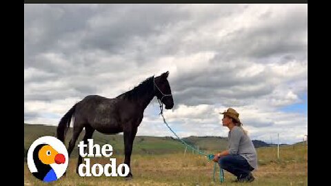 Rescue Horse Loves His Mom — But He's Obsessed With Her Boyfriend | The Dodo