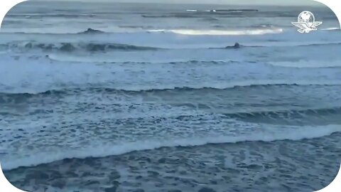 Erupción volcánica en Tonga generó "pequeñas olas de tsunami" en el Caribe