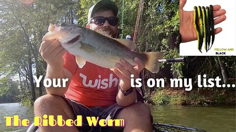 The Ribbed Worm - Cheap Fishing Lure Challenge from Wish.com - Kayak Bass Fishing Lake Oliphant