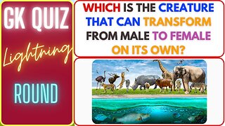 General Knowledge Quiz | gk questions and answers | Trivia Questions and Answers (No 05)