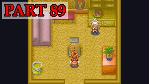Let's Play - Harvest Moon DS Cute part 89