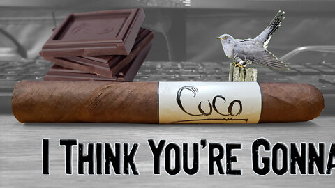 60 SECOND CIGAR REVIEW - Blackbird Cuco