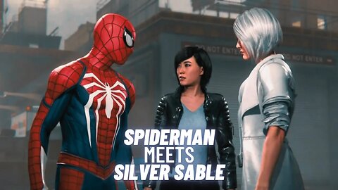 When Spiderman meets Silver Sable: An Epic Crossover