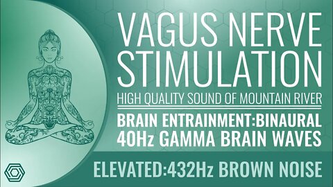 Vagus nerve Stimulation Binaural 40Hz Anxiety Hunger Depression Weight Gain Inflamation