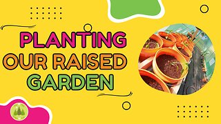 Planting Our Raised Garden