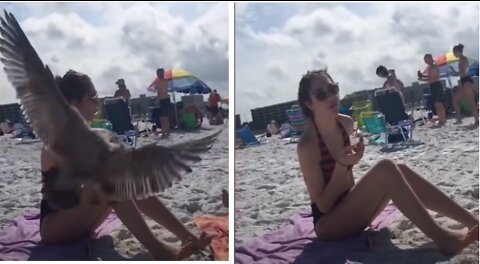 Giant Bird Scares Woman At The Beach