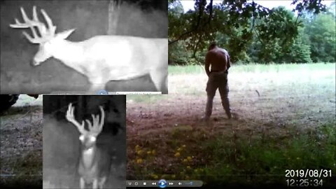 First Kentucky Trail Cam VLOG. Did I pick a good property?