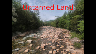 The Untamed Land