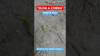 OLHA A COBRA (PARTE #02)