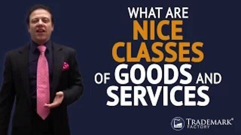 What Are Nice Classes of Goods and Services?