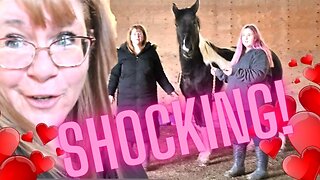 Our Most Shocking Valentines Day Ever! Watch To The End, You Might Be Surprised!