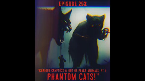 The Pixelated Paranormal Podcast Ep 293: “Curious Cryptids & Out of Place Animals: Phantom Cats!”