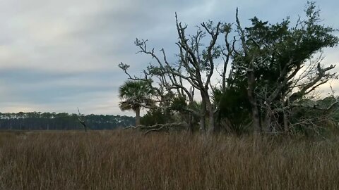 Skipper Bay Rd with Tree Dawn to Dusk - Winter 2022