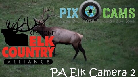 PA Elk Country Visitor Center - Camera 2 Live Stream