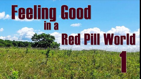 Feeling Good in a Red Pill World