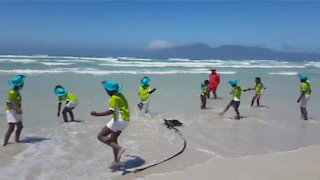 The 30th Sporting Chance Calypso Cricket festival were held at Sunrise beach in Muizenberg.