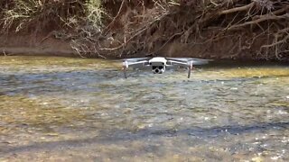 Dog Trainers Life - Flying Drones, Running Dogs, Doing What we do