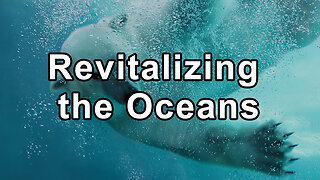 Revitalizing the Oceans: The Need to Leave Them Alone