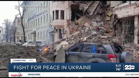 Fight for peace in Ukraine