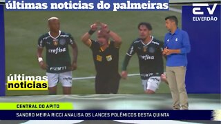 SANDRO MEIRA ANALYZES CONTROVERSIAL BIDS, PALMEIRAS GOES TO CBF #palmeiras #palmeirasnoticias