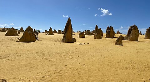 The Pinnacles Desert | Western Australia