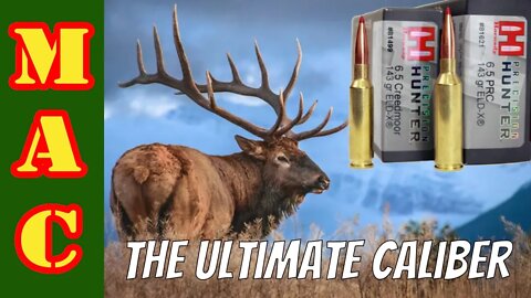 Search for the ULTIMATE hunting caliber - 6.5 PRC vs. 6.5 Creedmoor