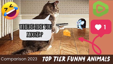 TOP TIER FUNNY ANIMALS 2023