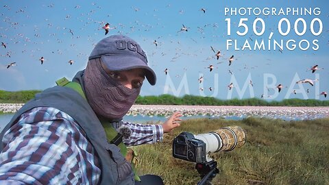 Photographing OVER 150,000 FLAMINGOS | Part Of The Flock Ep. 1 - A BED OF ROSES | Bird Photography