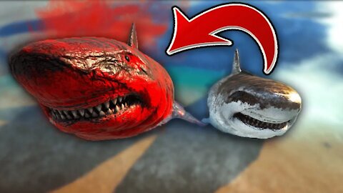 ALPHA vs NORMAL - How Do They Compare? [Megalodon]