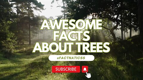 Ever Heard of The Wood Wide Web? Awesome Tree Facts You Need to Know! 🌳 #Trees #NatureWonders #Facts