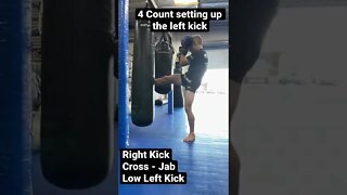 Setting up you Low Left Kick