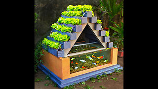 Organic vegetables idea! DIY aquaponics from ceramic titles and cement