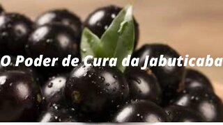 O Poder de Cura da Jabuticaba