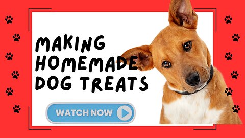 Making homemade dog treats