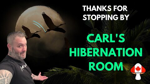 My hibernation room for MUSHROOMS !!!