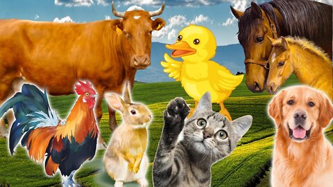 Learn Family Animals: Cat, Horse, Cow, Chicken, Duck Farm Animal Sounds- Part 2
