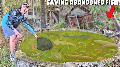 Saving Fish From Abandoned Pond